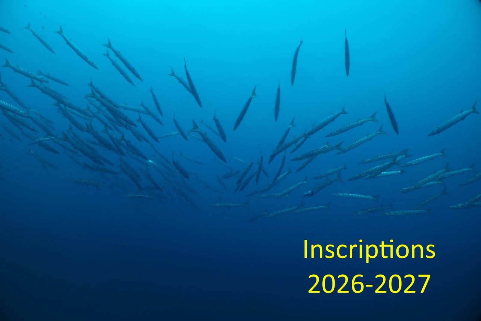 Inscriptions 2026-2027