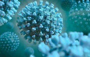 Reprise de la plongée : les instructions au 25 juin