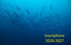 Inscriptions 2026-2027