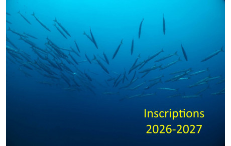 Inscriptions 2026-2027