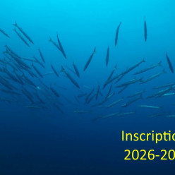 Inscriptions 2026-2027